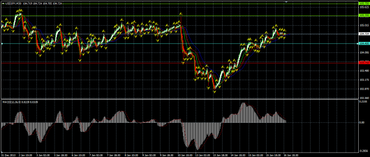 USD/JPY Chart 16.01.2014